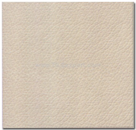 Floor_Tile--Ceramic_Tile,300X300mm[CD],3258